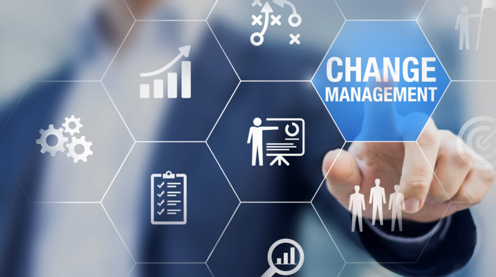 consulenza organizzativa